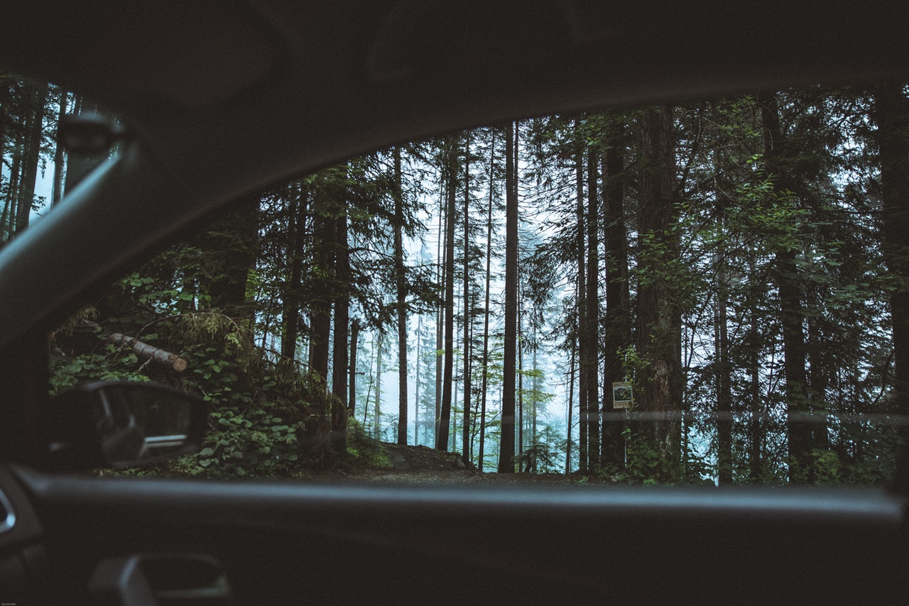 protect-car-from-thieves